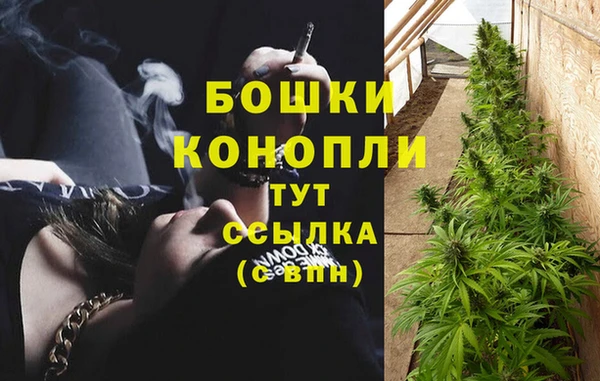 дурь Коряжма