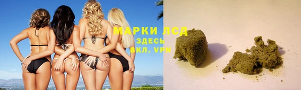 спайс Корсаков