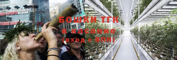 спайс Корсаков