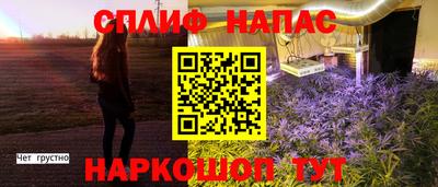 дмт Шелехов