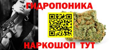 apvp Шебекино