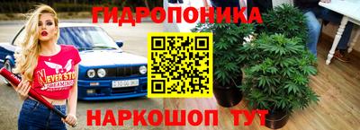 дмт Шелехов
