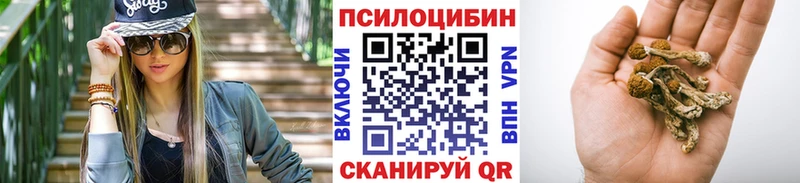закладка  Киржач  Псилоцибиновые грибы ЛСД 