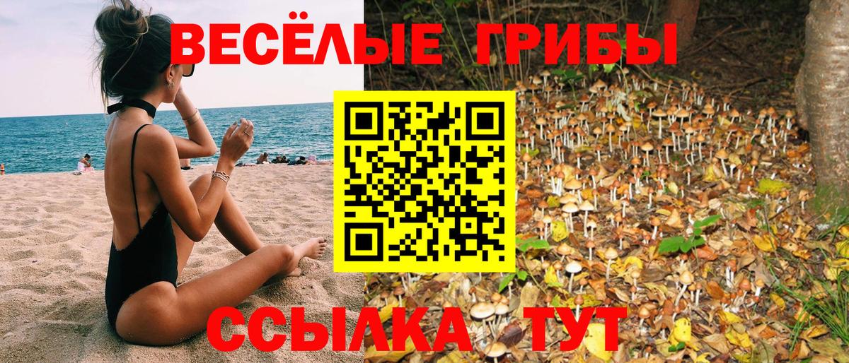 Псилоцибиновые грибы мухоморы Киржач